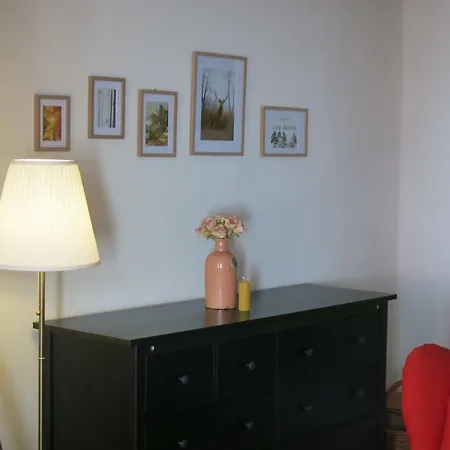 Olga بيكيني